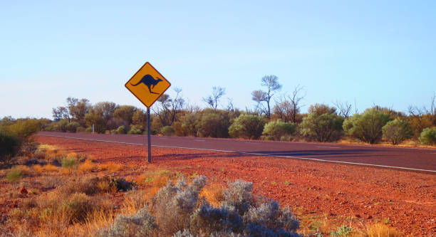 outback australiano famoso iconico cartello stradale autostradale canguro preso nel deserto sull'autostrada stuart in south australia, sa - kangaroo animal australia outback foto e immagini stock