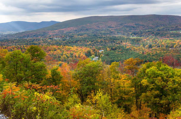 forested hills dans les berkshires, massachusetts - berkshire hills photos et images de collection