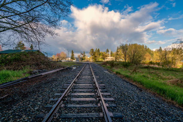 Railroad Tracks After Rain