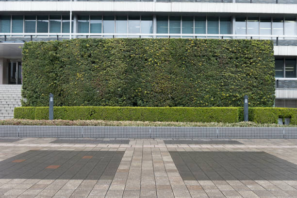 istock Large Billboard in the City 669051236