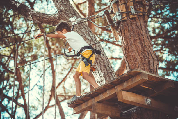 istock Little boy in adventure park 669058016