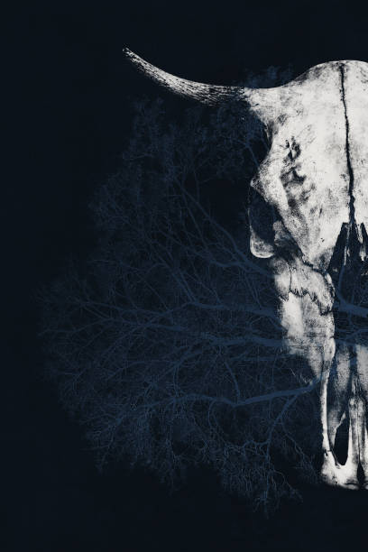 istock Fantastic creative photo with a double exposure effect - a bull's skull and a tree 669075516