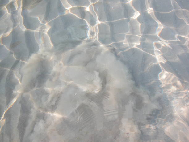 istock Refraction of light in the Mediterranean - Spain 669081092