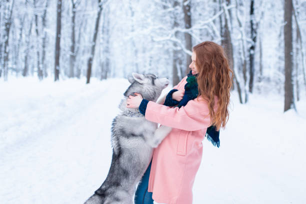 istock Young woman playing with siberian husky 669081378