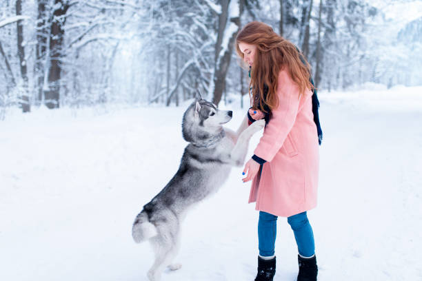 istock Pretty woman with playful husky dog 669081400