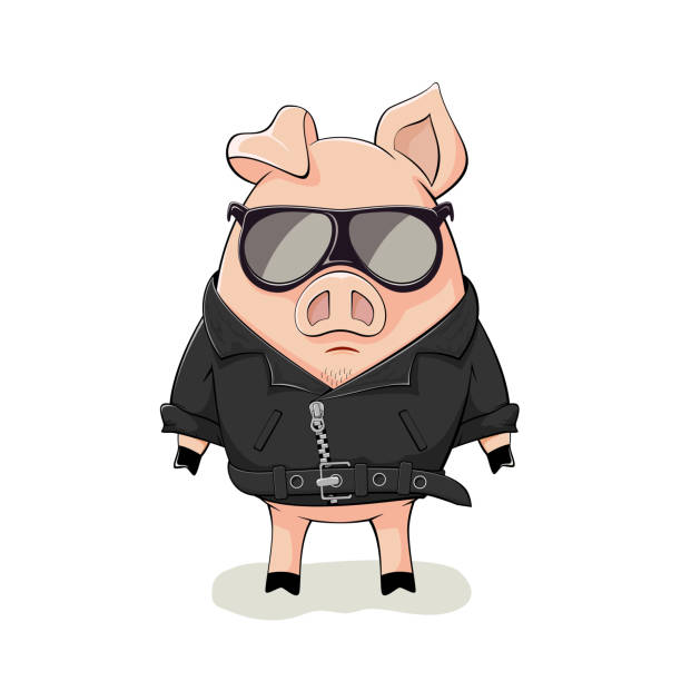 ジャケット・アウター 00s archive biker jacket Pig leather Pig In A Black Leather Jacket Stock Illustration - Download Image