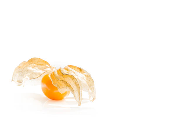 close-up fresh pichuberry (cape gooseberry), very delicious and healthy berry fruit, uchuva isolated on white background with shadow and copy space for text or wording decoration - gooseberry winter cherry uchuva isolated imagens e fotografias de stock
