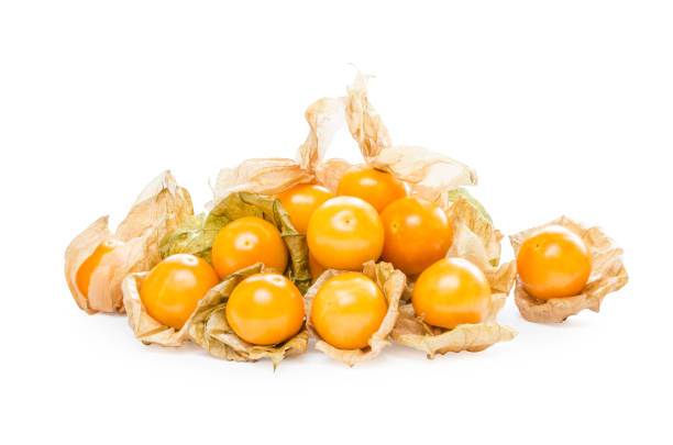 close-up fresh pichuberry (cape gooseberry), very delicious and healthy berry fruit, uchuva isolated on white background with shadow and copy space for text or wording decoration - gooseberry winter cherry uchuva isolated imagens e fotografias de stock