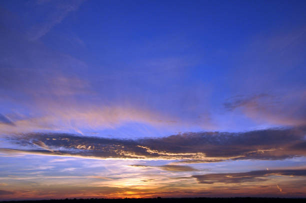istock Landscapes of the camargue 669094792