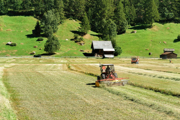 Zermatt, Switzerland - August 24, 2016: Worker in Tractor doing agricultural work such as cutting the hay in the meadow in Zermatt, Switzerland.