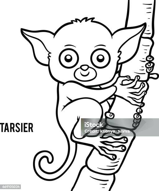 Coloring Book Tarsier Stock Illustration - Download Image Now - Tarsier, Animal, Asia