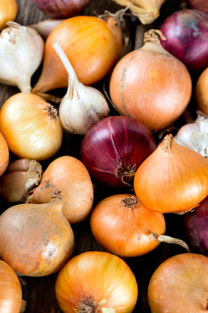 istock red and yellow onion on wooden surface 669105226