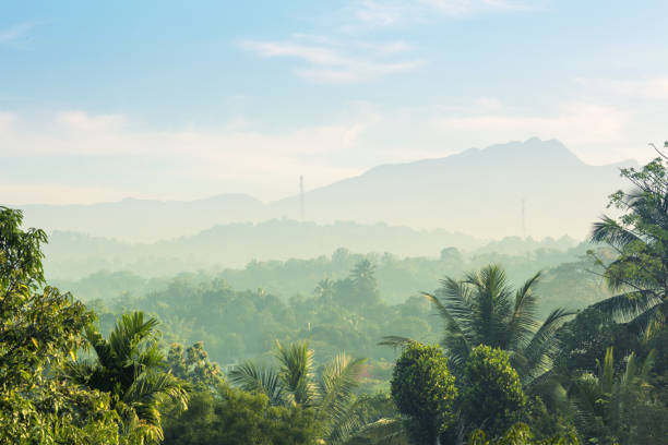 istock Scenic green mountains anb jungles, Ceylon 669106710