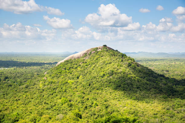 istock Scenic green valley and tea mountains, Ceylon 669111018