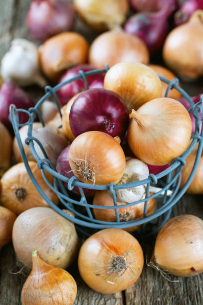 istock red and yellow onion in an iron basket 669111276