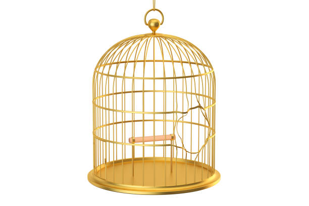 Broken golden bird cage, 3D rendering isolated on white background vector art illustration