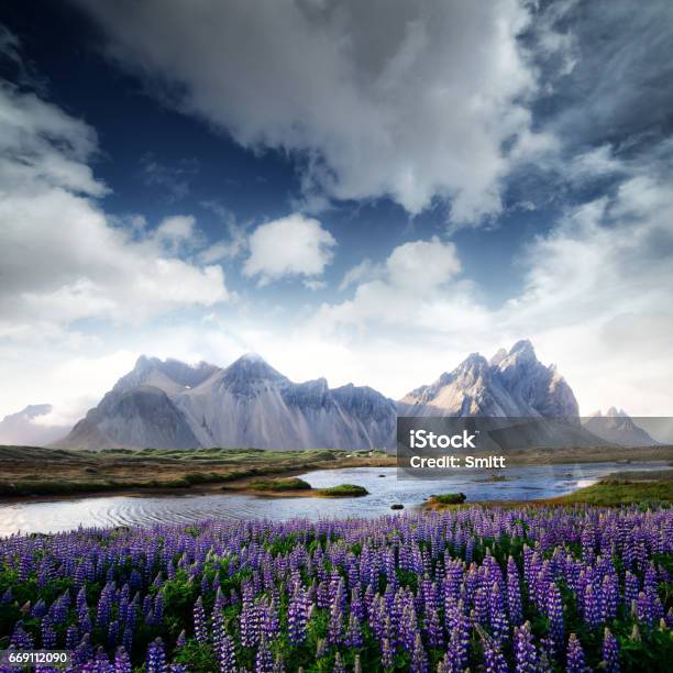 Iceland Landscape Stock Photo - Download Image Now - Awe, Beach, Black Color