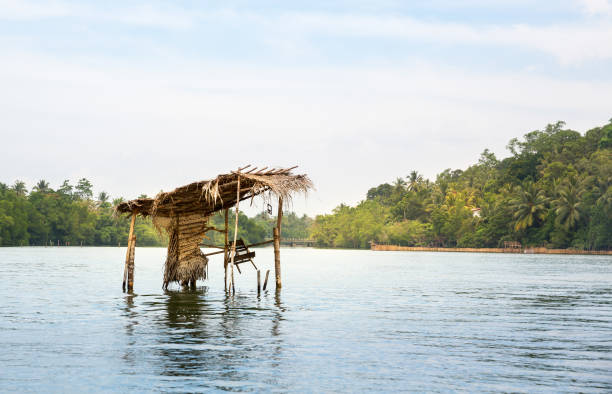 istock Jungle river and tropical forest, Ceylon scenery 669114742