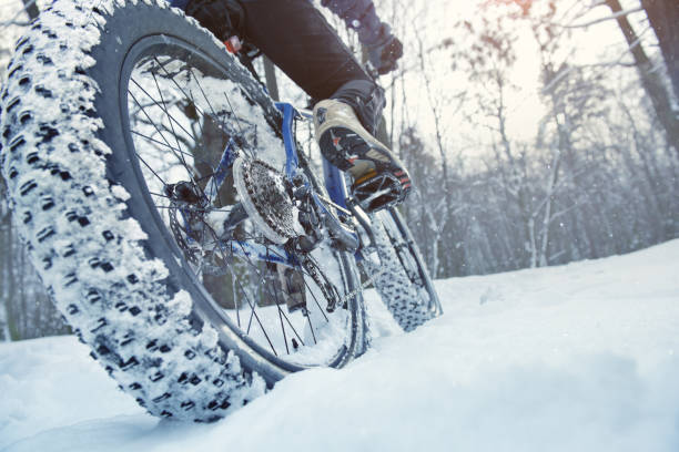 man rides fat bike in the forest - mountain cycling bicycle tire imagens e fotografias de stock