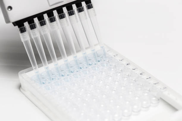 pipette depositing samples into a 96 well micro-plate - 96 well imagens e fotografias de stock