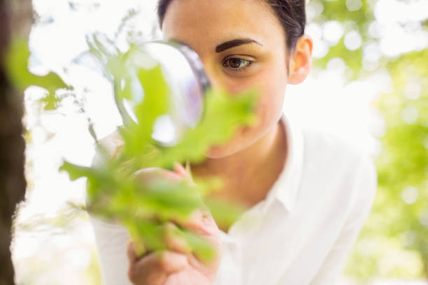 istock Beautiful brunette looking at plant through magnifying glass 669125140
