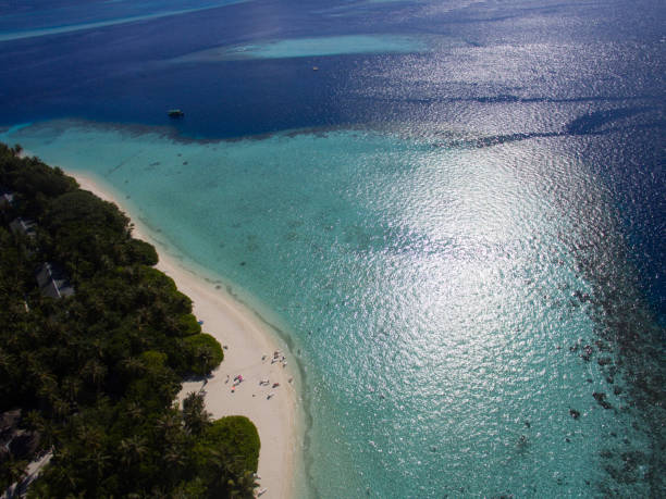 istock Nature on the Maldives 669139576