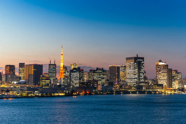 istock Tokyo, Japan skyline with the Tokyo Tower 669139650