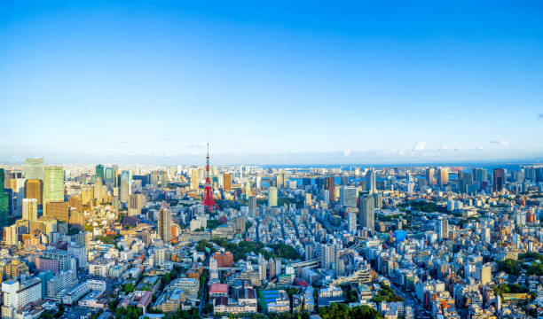istock Tokyo, Japan skyline with the Tokyo Tower 669139694