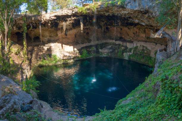 Dramatic roots from ceiba trees hang over and into the dramatic opening of the Oxman cenote, a dramatic swimming hole for tourists and locals alike in Valladolid, Yucatan, Mexico