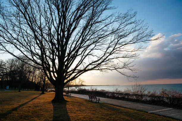 istock a view of Charles Daley Park. 669163634