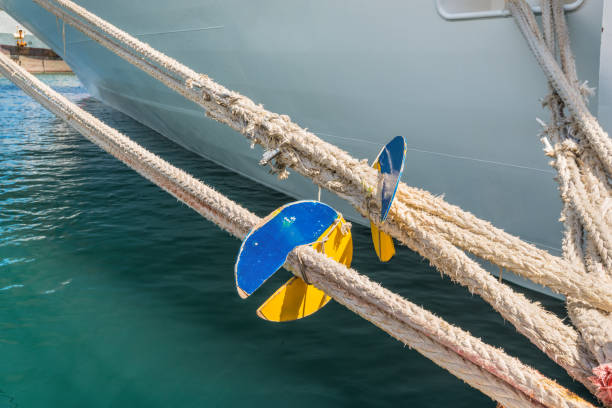 istock Marine rat guard on the mooring rope 669167140