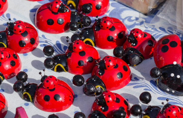 Many ladybugs close up at the fair.