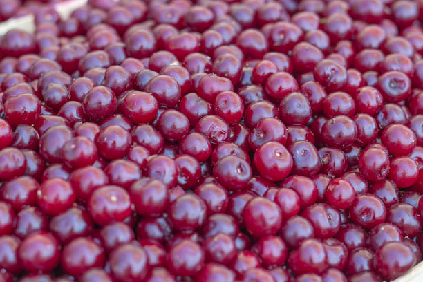 Close of sour cherries in farmer market. Selective focus and shallow dof.