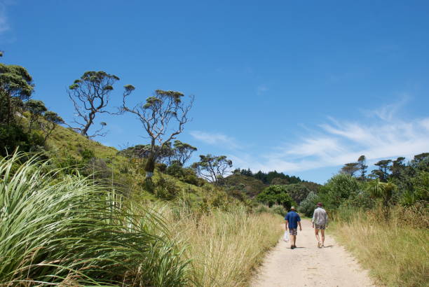 istock Men walk along Path on a Summers Day, New Zealand 669193904