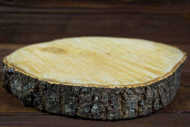 istock Cut off wood on wooden background 669193946