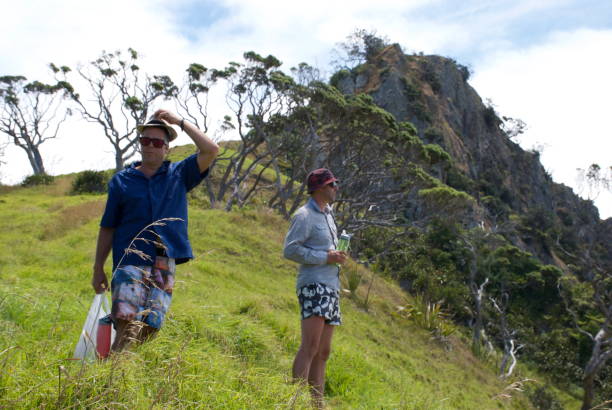 istock Men looking at View from Hill, Summers, New Zealand 669193950