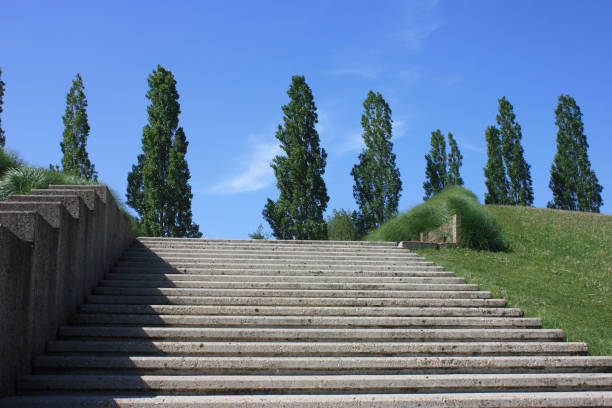 istock Staircase - Concrete steps - Public park lined with poplars 669196940