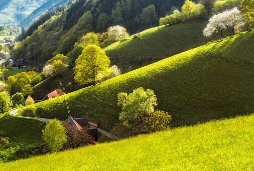 Scenic landscape of a picturesque mountain valley in spring. A historic village with blossoming trees and traditional houses. Germany, Black Forest. Popular travel destination.