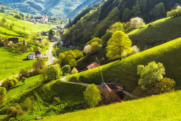 Scenic landscape of a picturesque green mountain valley in spring. Germany, Black Forest. Scenic landscape of a picturesque mountain valley in spring. A historic village with blossoming trees and traditional houses. Germany, Black Forest. Popular travel destination. black forest photos stock pictures, royalty-free photos & images