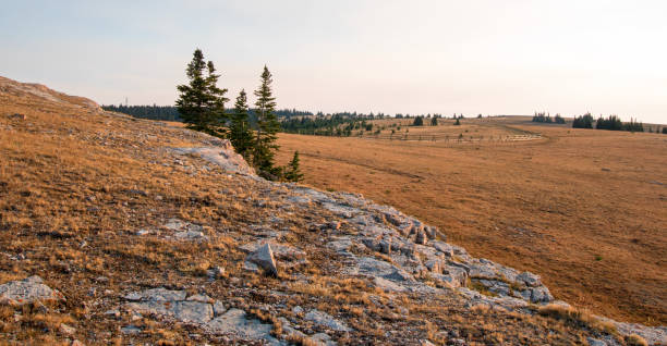 split rail fence o wschodzie słońca nad lost water canyon w gamie pryor mountains wild horse na linii stanowej montana wyoming usa - montana sunrise mountain mountain range zdjęcia i obrazy z banku zdjęć