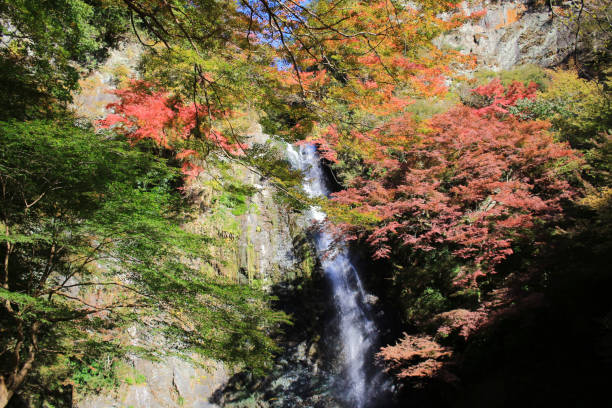 istock Minoh waterfall in autumn, Osaka, Japan 669210924