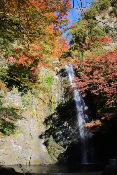 istock A waterfall with Japanese maples in Osaka. 669213370