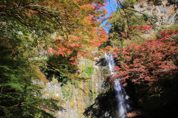 istock A waterfall with Japanese maples in Osaka. 669213468