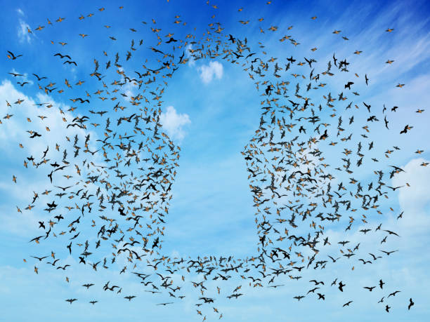 istock Flock group of flying birds shaped as open keyhole 669214142