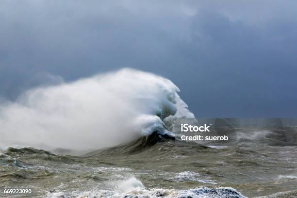 Waves Forming Face Stock Photo - Download Image Now - 2017, Animal Head, Awe