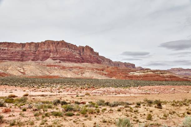 istock Incredibly beautiful landscape in National Park, Utah 669223314