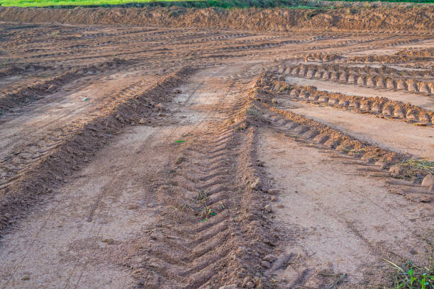istock Agricultural field on which drove heavy vehicles. 669223486