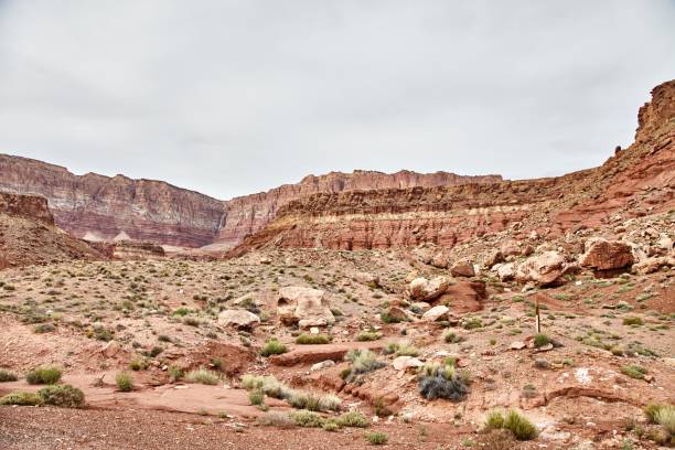istock Incredibly beautiful landscape in National Park, Utah 669223626