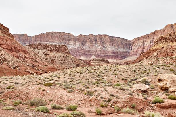 istock Incredibly beautiful landscape in National Park, Utah 669223658