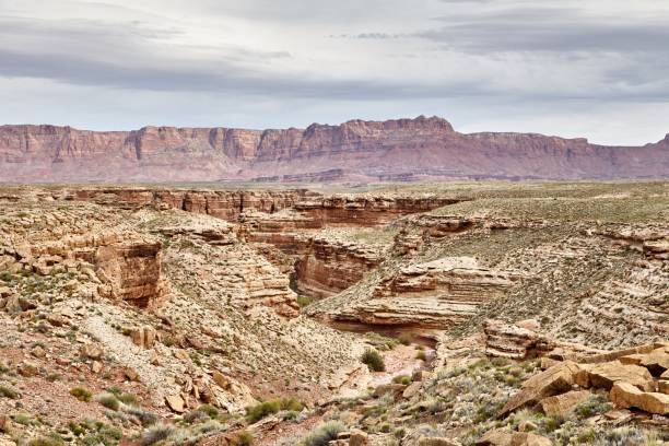 istock Incredibly beautiful landscape in National Park, Utah 669223786